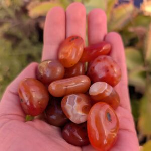 קריסטל קרנליאן  - פוריות, תשוקה ויצירתיות