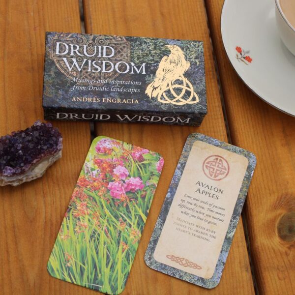 ⁦קלפי מיני Druid Wisdom – חכמת הדרואידים, לחישה מהיער העתיק⁩ – תמונה ⁦4⁩