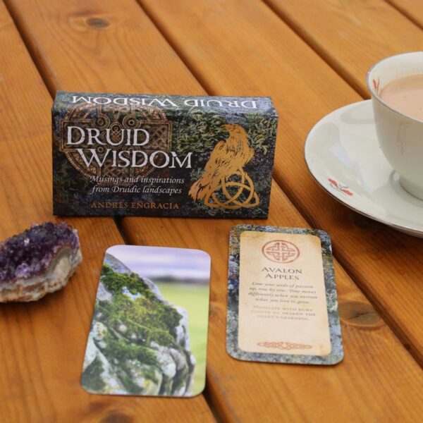 ⁦קלפי מיני Druid Wisdom – חכמת הדרואידים, לחישה מהיער העתיק⁩ – תמונה ⁦2⁩