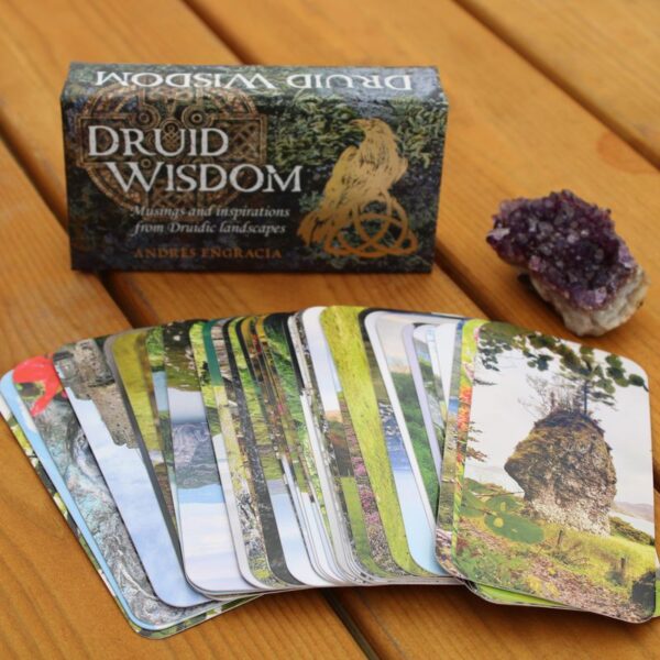 ⁦קלפי מיני Druid Wisdom – חכמת הדרואידים, לחישה מהיער העתיק⁩ – תמונה ⁦5⁩