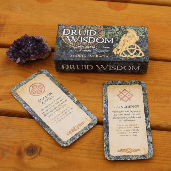 ⁦קלפי מיני Druid Wisdom – חכמת הדרואידים, לחישה מהיער העתיק⁩ – תמונה ⁦3⁩