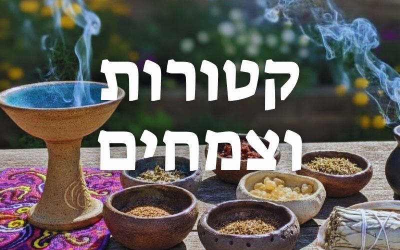 קטורות, שרפים, צמחים גוד וויטץ'